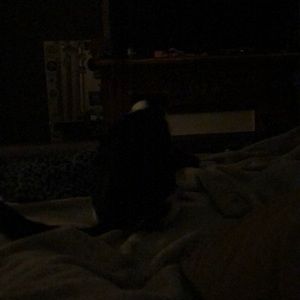 Meet your Posher, Dionne